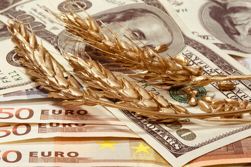 Euro notes